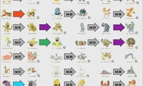 Grubbin Evolution Chart Gallery Of Chart 2019