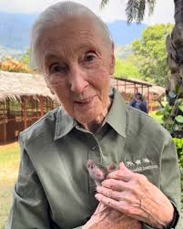 Dr. Jane Goodall