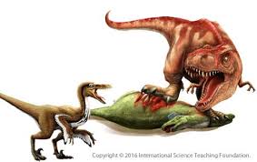 We did not find results for: Birds Are Living Dinosaurs Science Teaching
