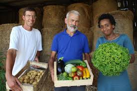 Vente directe à la ferme ou sur les marchés, magasins collectifs, livraisons à domicile, drive, approvisionnement de la restauration collective, vente sur internet… chaque circuit a ses avantages et ses inconvénients. Ou Trouver Des Produits De La Ferme En Vente Directe Au Pays De Mortagne Au Perche Le Perche