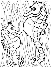 24 buffalo coloring page compilation. Seahorse Coloring Pages