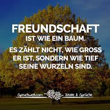Freundschaft Ist Wie Ein Baum Es Zahlt Nicht Wie Gross Er Ist Sondern Wie Tief Seine Wurzeln Sind Spruche Uber Freundschaft Spruche Uber Freundschaft Schone Spruche Freundschaft Freundschaft Zitate