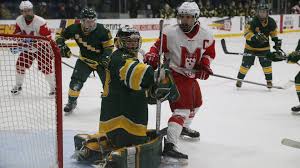 La page facebook officielle de la chaîne tva sports. Mcgill Olympic Medallist Daoust Joins Tva Sports As A Hockey Analyst Mcgill University Athletics