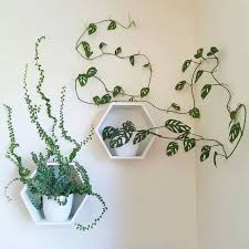 Mur Vegetal Interieur 14 Idees Faciles Et Tendance Mur Vegetal Interieur Mur Vegetal Plantes De Decor De Maison