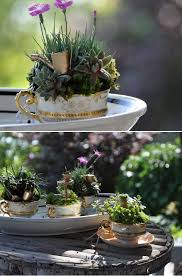 Miniaturgarten In Pflanzkubeln Auf Den Balkon Anlegen Kurzanleitung Miniaturgarten Pflanzen Mini Garten