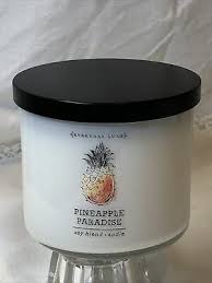 2 Everyday Luxe Fresh Atlantic Soy Blend Candle Large Candle 14 5 Oz 34 99 Picclick