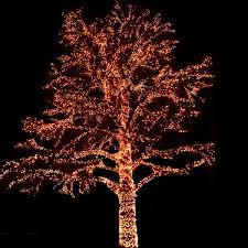 So erreichen sie auch, dass die kegelform des. Blog Weihnachtslichter Leuchtbaum Vorbereitung Und Montage Apesa