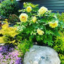 Frost Arrived in Connecticut Overnight in 2023 on…