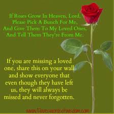 We did not find results for: If Roses Grow In Heaven Loved One In Heaven Heaven Quotes Mom In Heaven