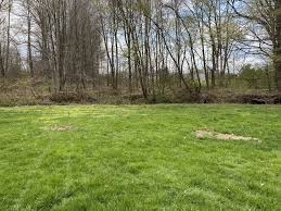 Auxin is a plant hormone that controls plant growth. How To Plant Pear Trees To Produce Fruit Wkbn Com