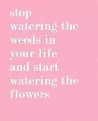 Don T Waste Time On Rubbish Words Words Quotes Inspirational Words