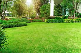 Diy lawn care can be enjoyable and environmentally friendly! Sunday Lawn Care Review 2021 This Old House