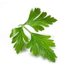 Informasi serupa tanaman nilam terutama daunnya dikeringkan barulah diolah untuk dilakukan penyulingan minyak. Parsley Prices And Promotions Jul 2021 Shopee Malaysia