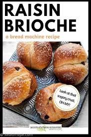 Bread Machine Brioche That Will Make You A Kitchen Hero Recipe Bread Machine Brioche Bread Machine Bread