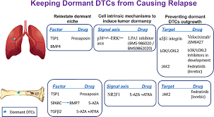 The biology of metastasis and how cells are able to break free from the primary tumour and colonize distant sites is becoming increasingly understood; Frontiers Innovative Approaches In The Battle Against Cancer Recurrence Novel Strategies To Combat Dormant Disseminated Tumor Cells Oncology