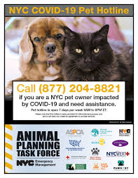 They're part of your family and when you trust their vaccines to us, we treat them like our family. Coping Through Covid 19