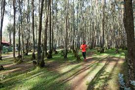 Tadesse abraham has been running almost 2 years for switzerland, where he has been living for more than 10 years. Wie Tadesse Abraham Fur Die Schweiz Em Gold Im Marathon Gewinnen Will Nzz Am Sonntag