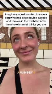 Animal Rescue: Saving Abandoned Dogs with Love