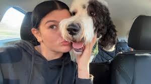 Hey everyone 👋 No rude comments allowed plz Long story short, I'm going  out tomorrow in search of employment, I NEED A JOB AND SOMETHING IN  WYANDOTTE IM DOWN ON MY KNUCKLES