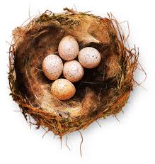 See more ideas about picture book, childrens books, books. Bird Nests How Do Birds Make Nests Dk Find Out
