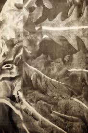 Bildergebnis für Ala D'Amico