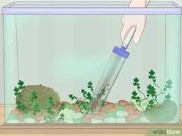 See full list on wikihow.com How To Clean A Fish Tank With Pictures Wikihow Pet