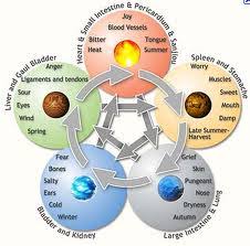 Chinese Medicine School Basic Five Element Theory