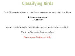 Ppt 06 01 Classification Project Powerpoint Presentation