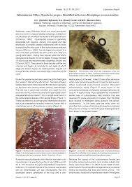 Usually, they will host on bird species and they only become a structural pest when they move from the birds and bird. Pdf Subcutaneous Mites Hypodectes Propus Identified In Kereru Hemiphaga Novaeseelandiae
