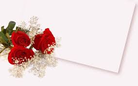 Your red rose beach stock images are ready. Free Download Red Rose Flower Backgrounds 1600x1000 For Your Desktop Mobile Tablet Explore 43 Red Roses With White Background Red Roses With White Background White Wallpaper With Pink Roses