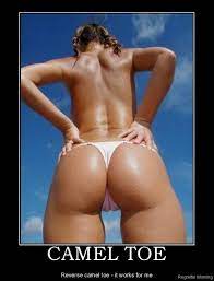 We live in a society, where the freethinking, open minded people are called crazy and the ignorant close minded people are normal. Fact Fact On Twitter Is Reverse Camel Toe Better Than Regular Camel Toe To The Film Room Http T Co Flahdhf1n6 Http T Co G8lengcez6