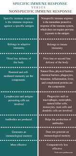 Difference Between Specific And Nonspecific Immune Response Definition Components Function Immune Response No Response Immune System Nursing