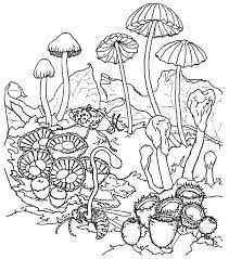 Beautiful coloring pages for adults mushrooms 12799684. Trippy Mushroom Coloring Pages Coloring Home
