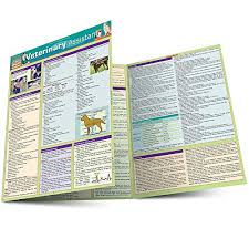 Be sure to check out our many other buying guides, like our roundup of the best gifts for teens or gifts for procrastinators. Gift Ideas For Veterinary Students Unique Gifter