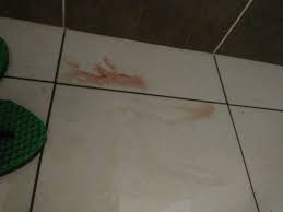 Biasanya, berubahnya bau pada urine terjadi karena perubahan pola makan yang dilakukan baru baru ini. Mon On Twitter Hi Idk If We Are Having The Same Prob Sbb My Cat Pernah Jd Mcm Ni Kencing Berdarah Dan Tak Byk Dan Kerap Sgt Pegi Vet Dr Ckp Dia