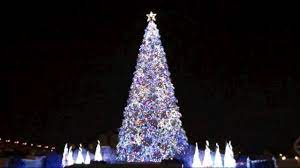 The christmas tree from the huffington is from 2010. World S Best Christmas Tree Listed In The Guiness Book Of Records 2011 Youtube
