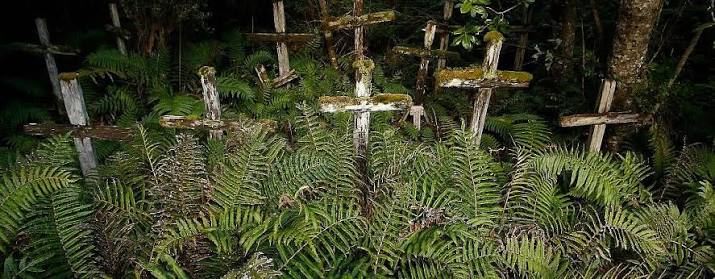 The mysterious Island of the Dead and its dark cypress crosses, a real myth  in Patagonia