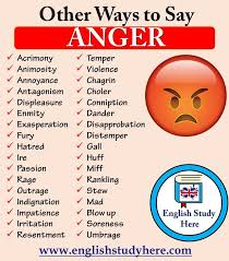 The cast of the angry birds movie share their favorite angry words. Synonmys Words Anger Archives English Study Here