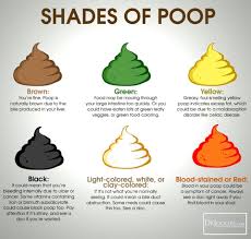 Image result for yellow stool human poop