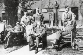 Image result for Gray 1956 Fleet