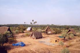 How Volunteers from 50 Countries Transformed 70 Acres of Arid Land into a  Lush Forest in Puducherry - The Better India