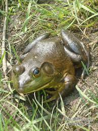 Pin On Joe S Flash Photography Photo S By Joe Culp