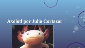 I was an axolotl and now i knew instantly that no understanding was possible. Axolotl Por Julio Cortazar By Tami Williams