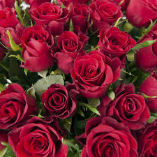 This statistic shows the planned total flower expenditure on valentine's day in the united states from 2010 to 2021. Love Is In The Air Latam Carries Seven Per Cent More Valentine S Day Flowers In 2021 Aviation Business News