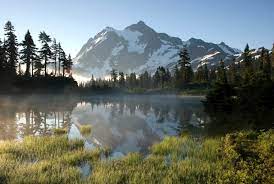 Your guide to adoption agencies in washington. Adoption In Washington Wa Adoption Agencies And Laws Considering Adoption