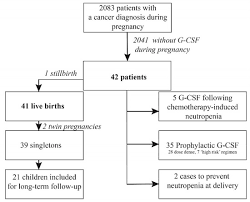 Cancers Free Full Text Maternal And Neonatal Outcome After The Use Of G Csf For Cancer Treatment During Pregnancy Html