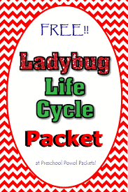 Free Ladybug Life Cycle Packet Ladybug Life Cycle Ladybugs Preschool Life Cycles