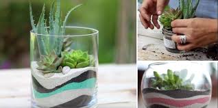 How To Make A Layered Sand Succulent Planter Succulent Display Succulent Terrarium Succulent Planter