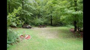 Maybe you would like to learn more about one of these? Savoy Mountain State Forest The Dyrt