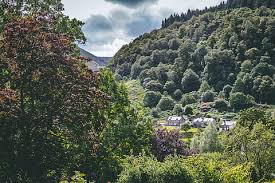 Through a bit some dense forest and up onto the top. Hd Wallpaper Wales Forest Countryside Green Cottage Plant Tree Growth Wallpaper Flare